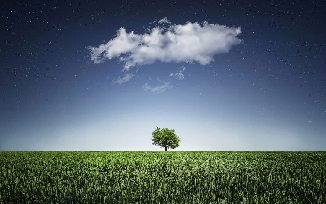 EPHA’s Report on Environment and Health