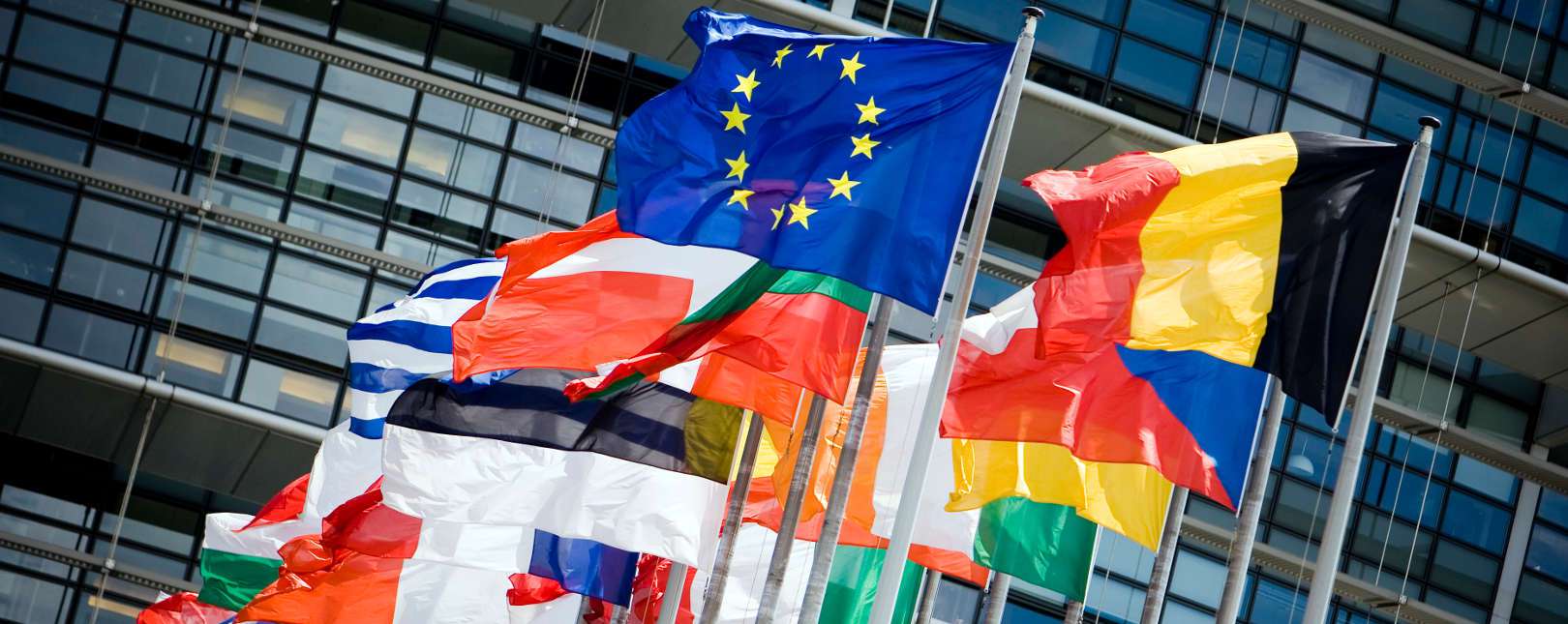 Civil society urges Member States to support the Dutch EU Presidency’s vision on access to affordable medicines