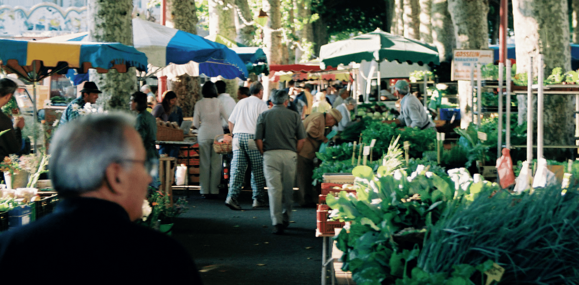 Report I “A CAP for Healthy Living”