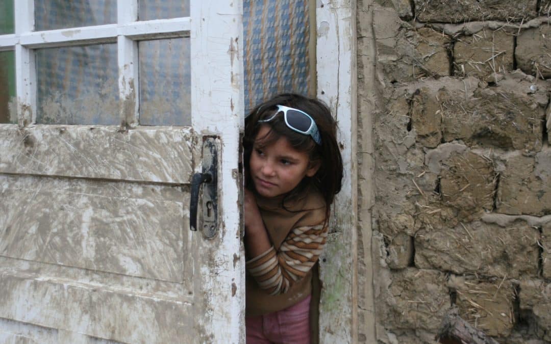 Have Your Say! What are the most important issues for the EU Platform for Roma Inclusion?