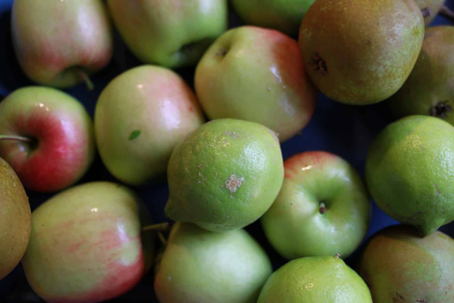 WHO childhood obesity implementation plan is good, but lacks specificity