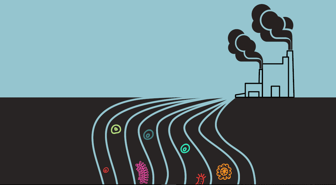 Antibiotic factories compounding superbug spread