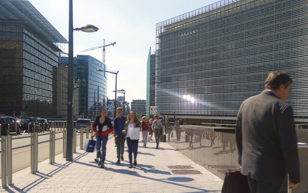 New EU Action Plan on Antimicrobial Resistance advances One Health vision, but falls short on concrete action