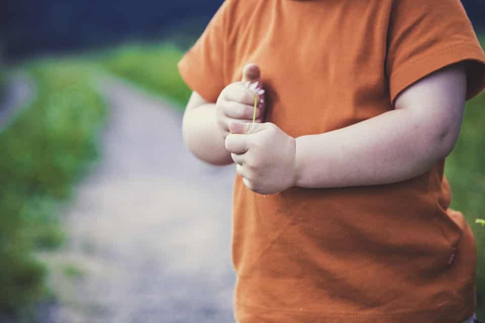 Food Act!ve – Joined up thinking to tackle childhood obesity