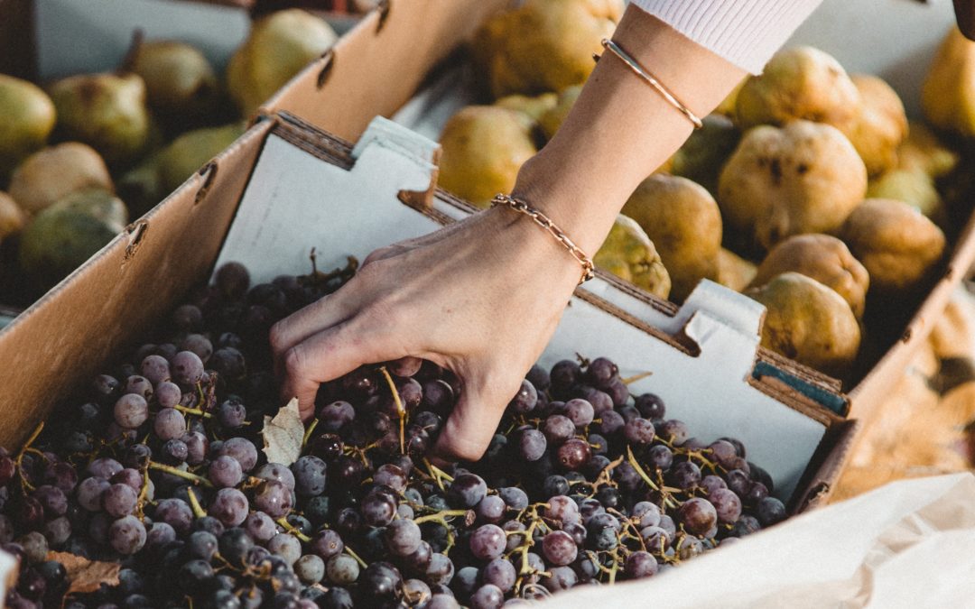 Study I Policy Principles for Sustainable Food Systems in Europe