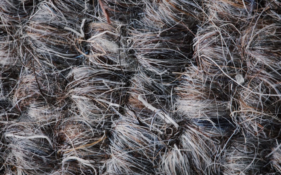 Press release I Toxic chemicals found in carpets sold by major European manufacturers