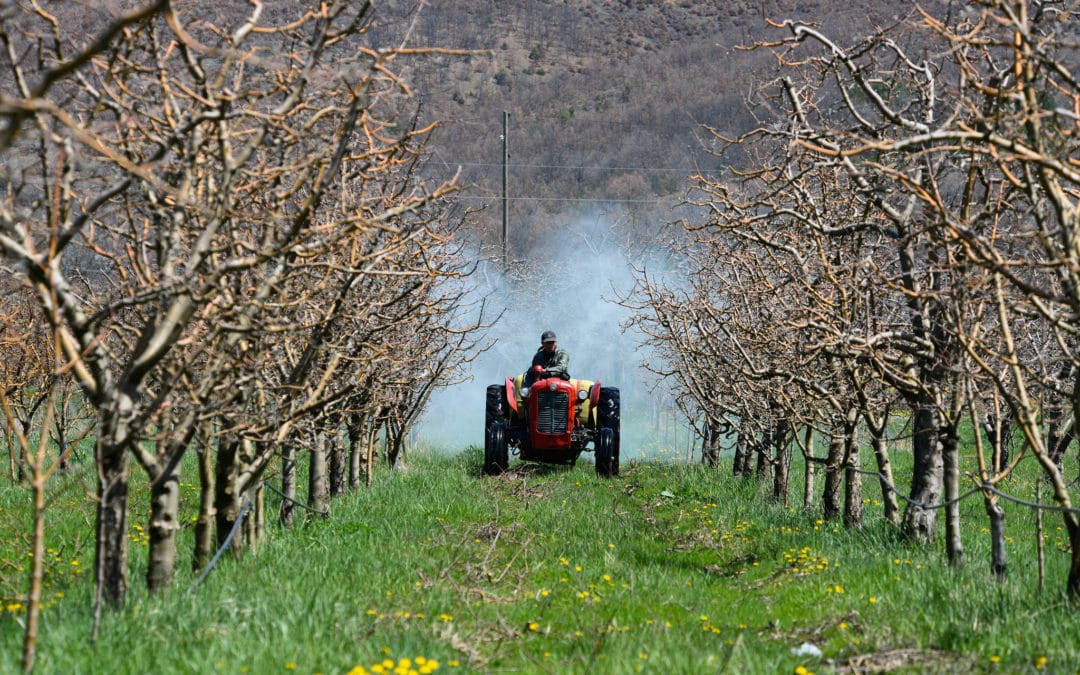 EU agriculture policy can be reformed for better health, ENVI vote testifies