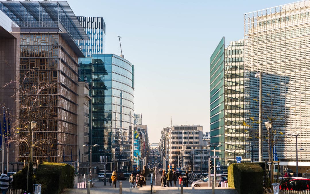 Last chance to safeguard citizen’s protections by removing “Innovation Principle” from Horizon Europe