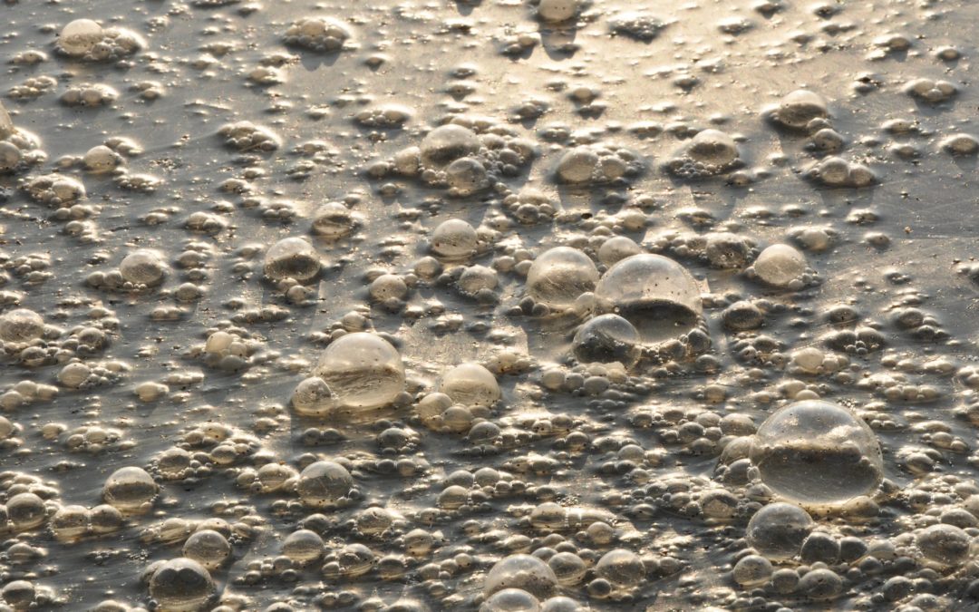 Address pharmaceutical pollution now to stop antimicrobial resistance