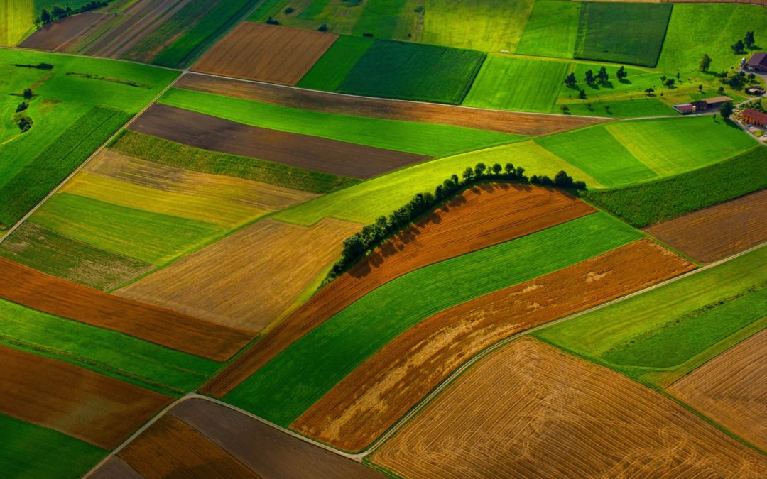 Joint civil society demands for a fair, green and healthy CAP