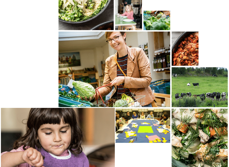 Discussion paper I Public procurement for sustainable food environments