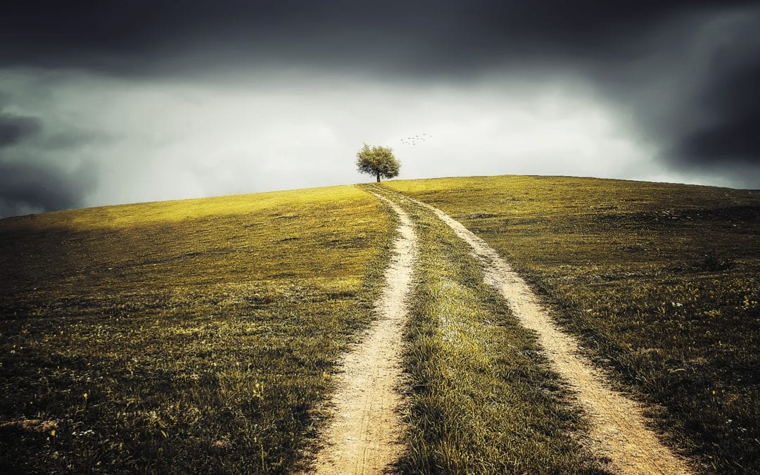 Joint letter I No further delay of the EU Farm to Fork Strategy