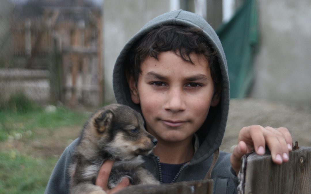 EPHA joins calls for more support for Romani and Traveller children and their families in COVID-19 responses