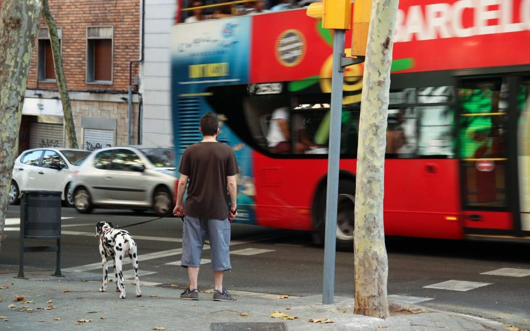 “No more public money to finance fossil fuels!” NGOs request to the Spanish government