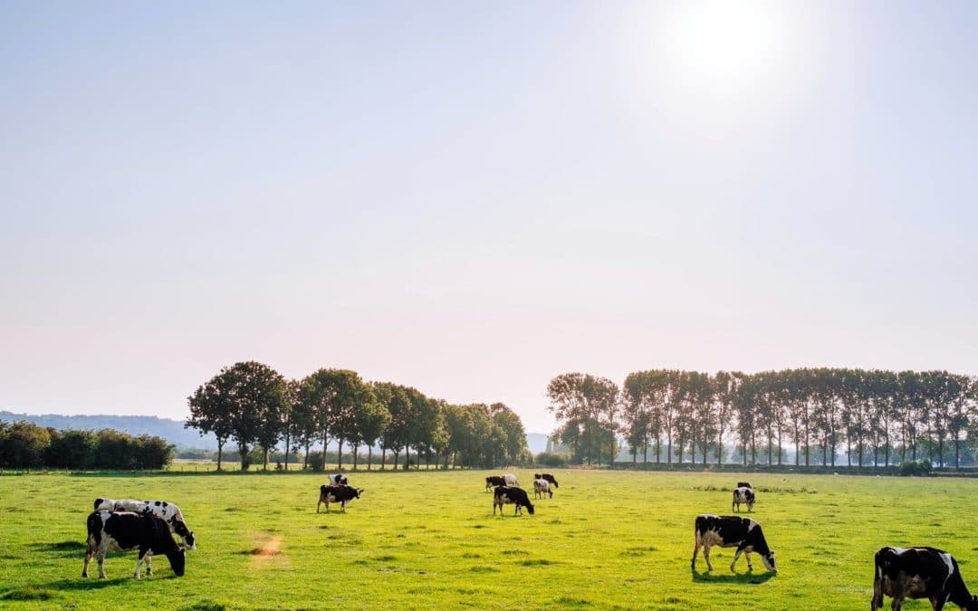 Excessive methane emissions represent a challenge to public health, EPHA says