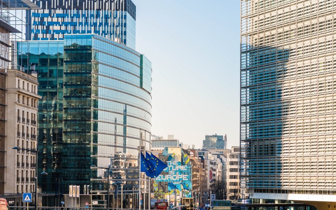 Focus on primary prevention paves the way for a less unequal Europe in the new EU4Health programme