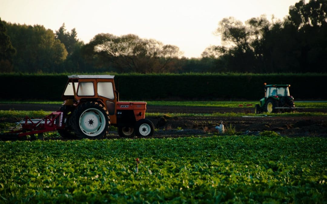 EPHA adds its voice to calls for a green recovery for agriculture