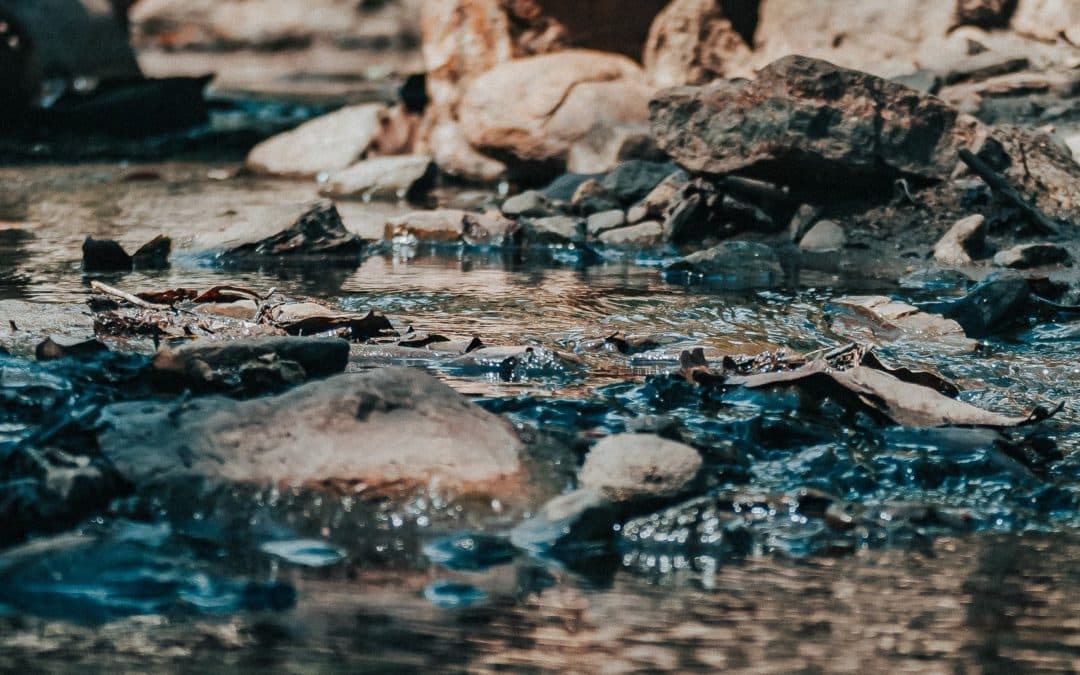 AMR in the environment – From monitoring to action