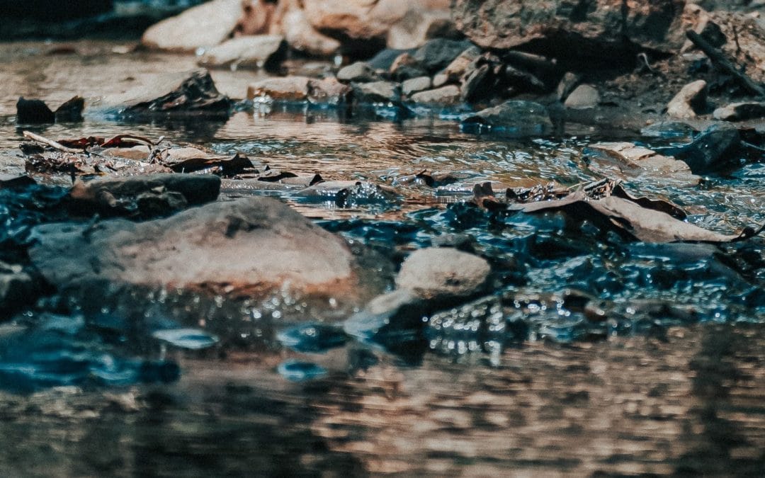 MEPs Fight AMR | AMR in the environment: From monitoring to action