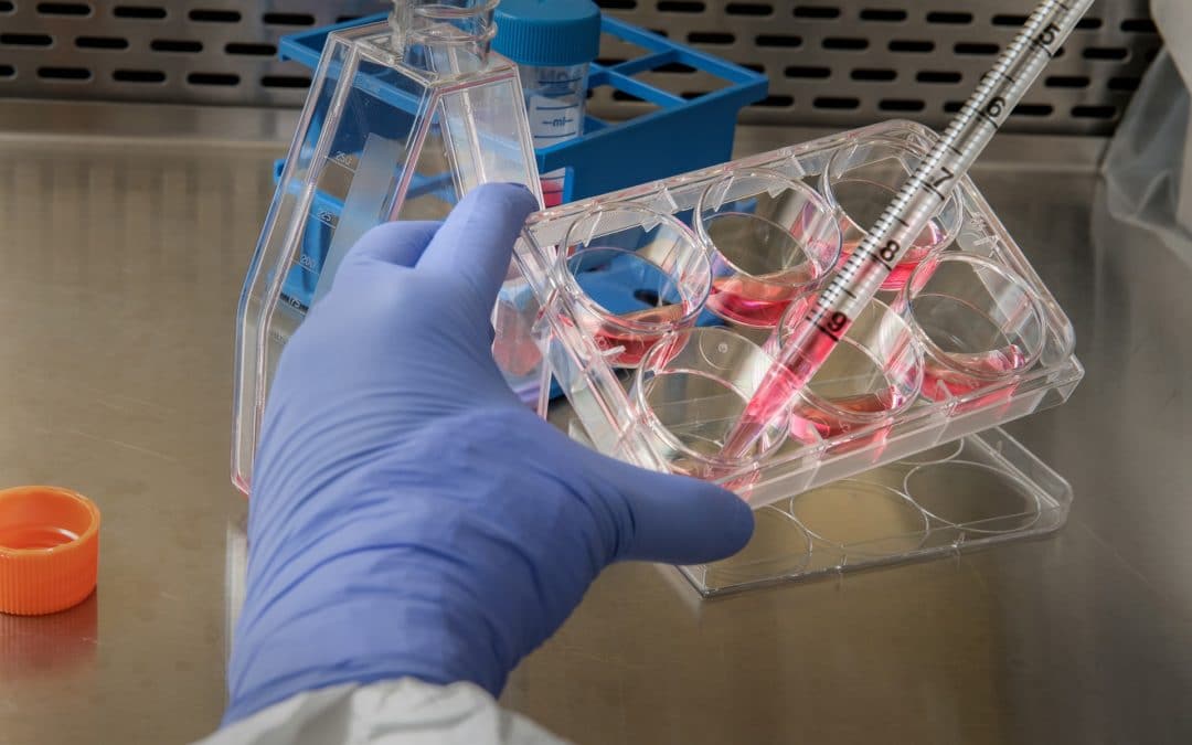 Stepping up the fight on AMR