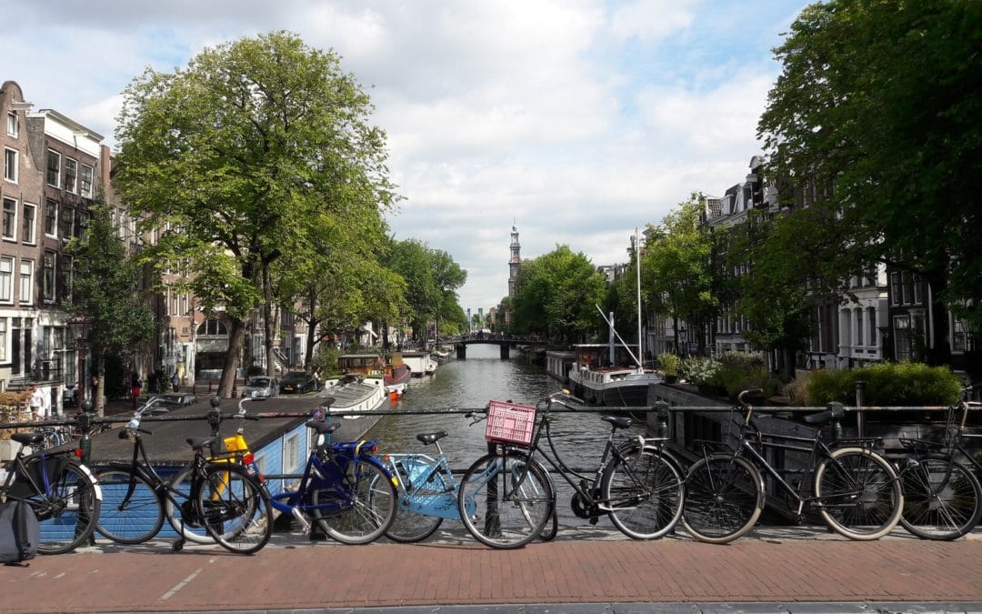 Make walking, cycling and public transport the primary modes in functional urban areas by 2030