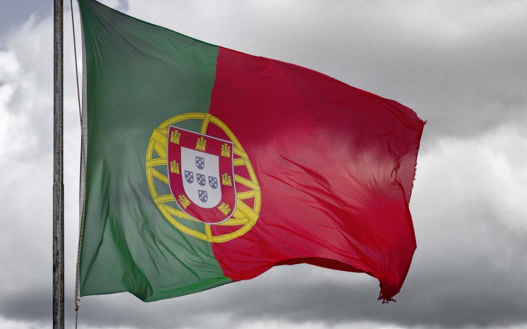 NGOs demand Portuguese EU Presidency puts public interest centre stage