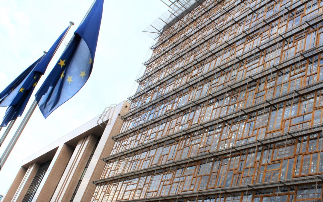 Member States step up commitment towards equality for Roma