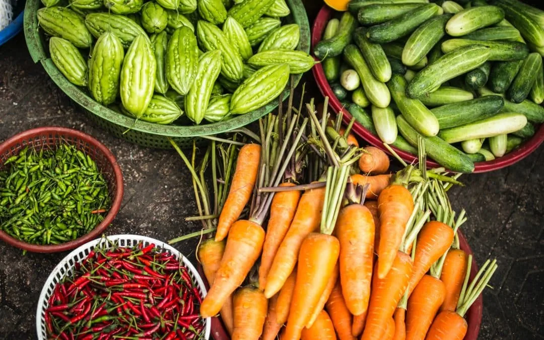The 2021 UN Food System Summit – a game-changing opportunity for food systems and health?