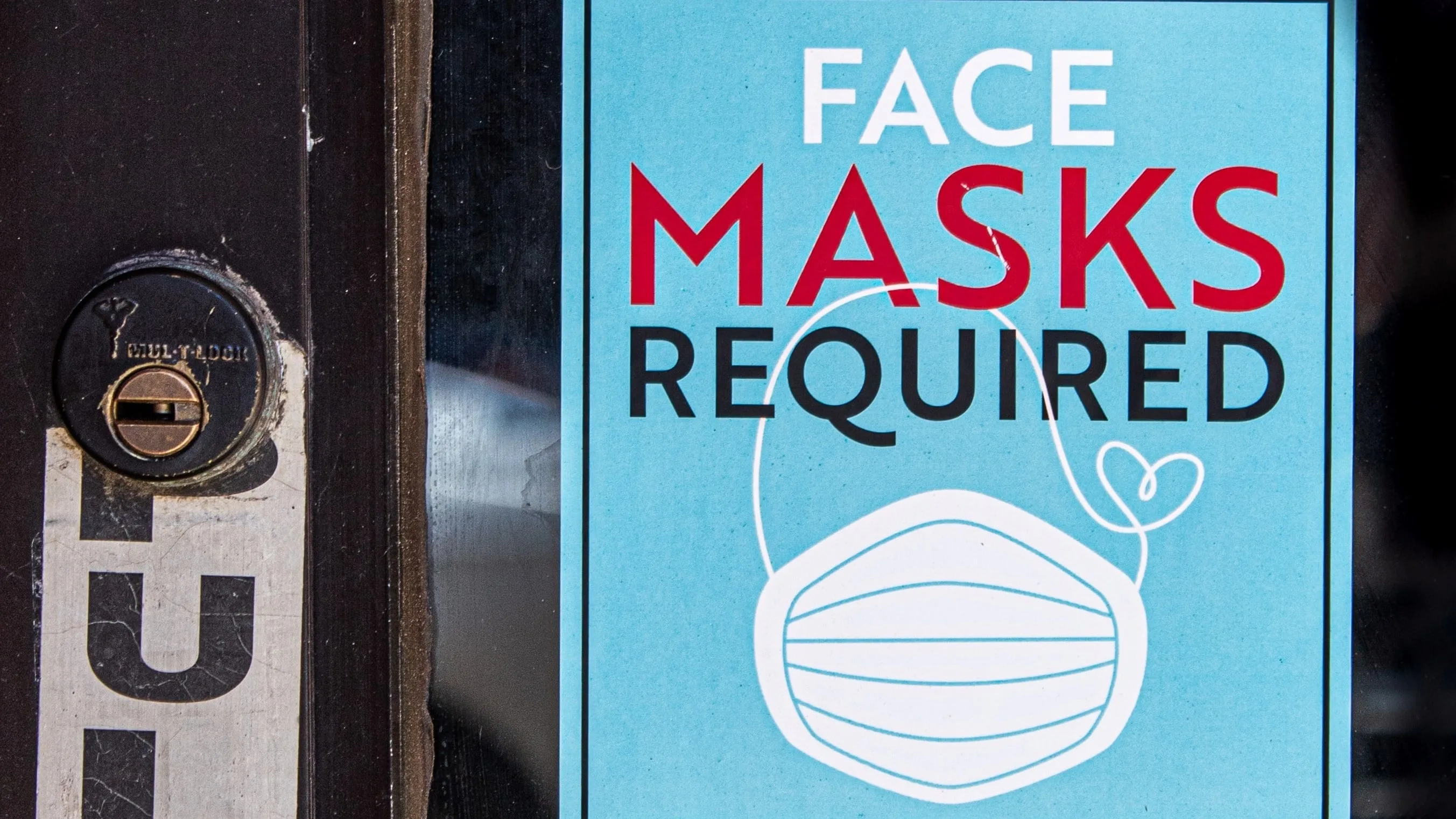 elizabeth mcdaniel qxjhxebrlxe unsplashg