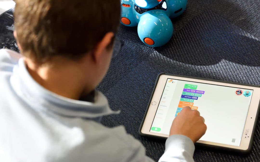 Harms and benefits of the digitalisation processes on inclusive educational curricula