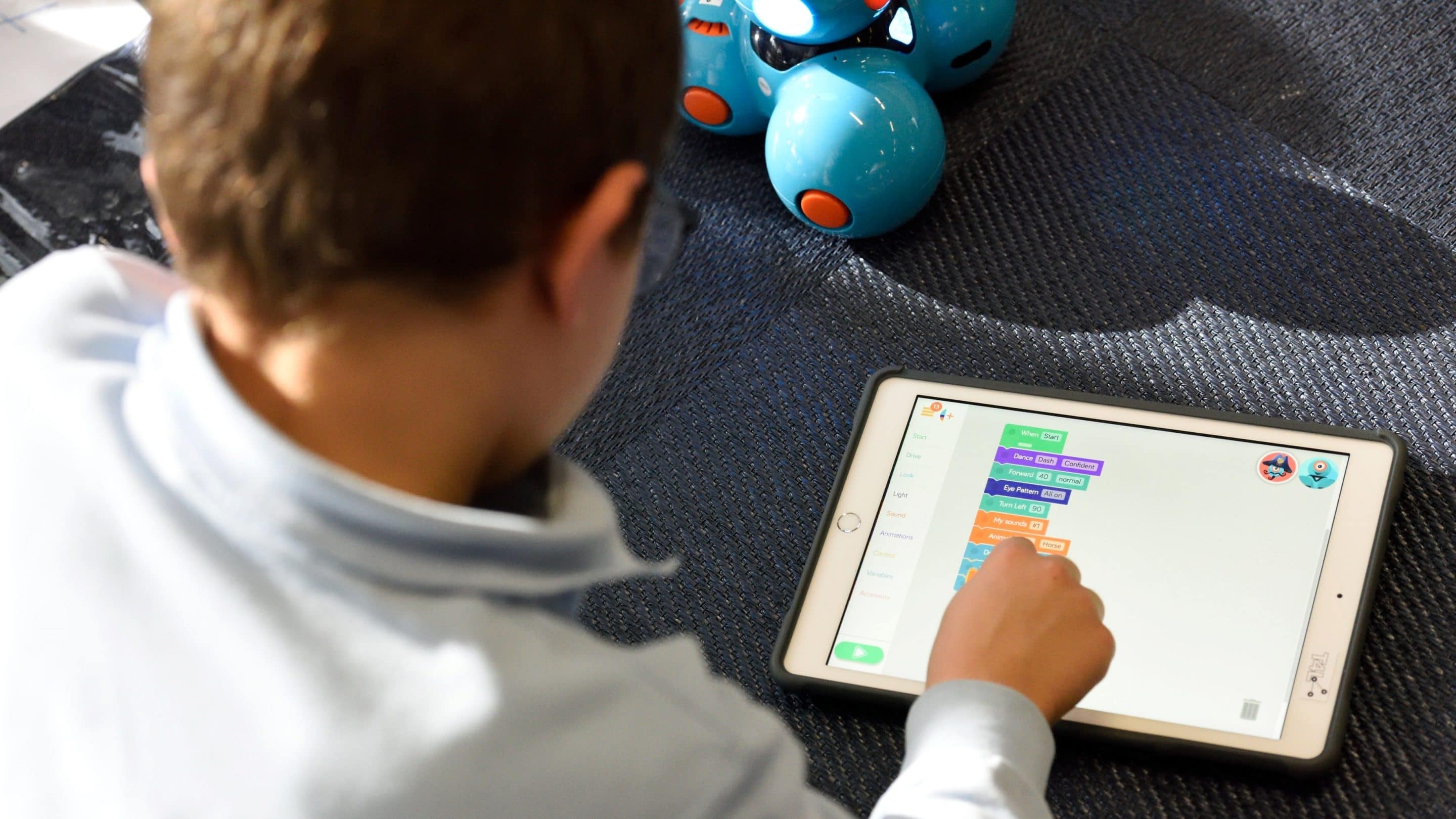 stem t4l pnspchyksw unsplash stem t4l pnspchyksw unsplash