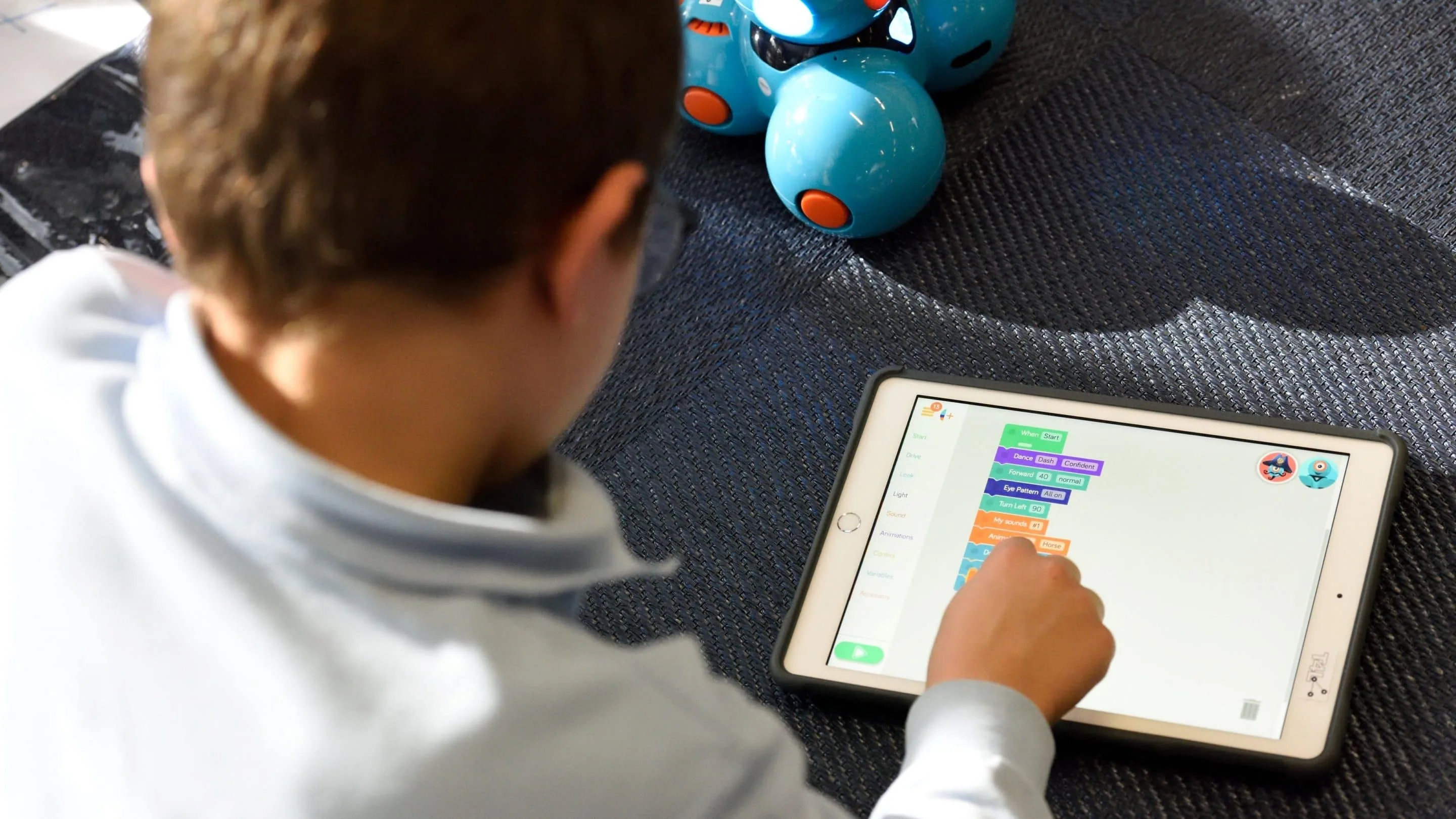 stem t4l pnspchyksw unsplash