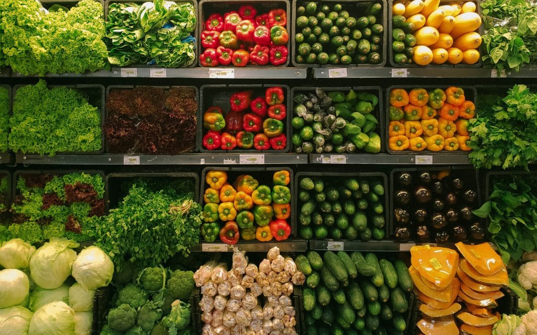 Policy Recommendations: using procurement for a systemic food transformation