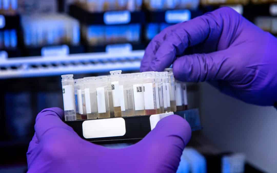 EPHA’s response to WHO public hearings regarding a new international instrument on pandemic preparedness and response