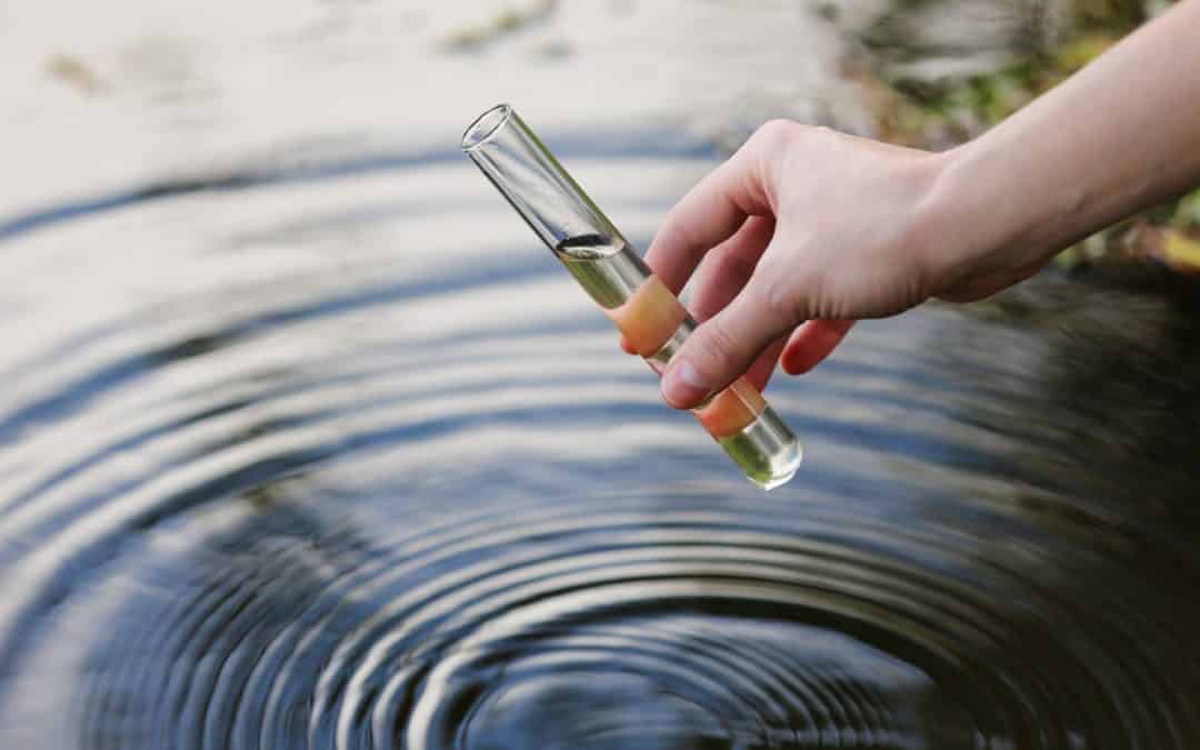 MEPs discussion on how to curb antimicrobial pollution that is driving the development and spread of AMR