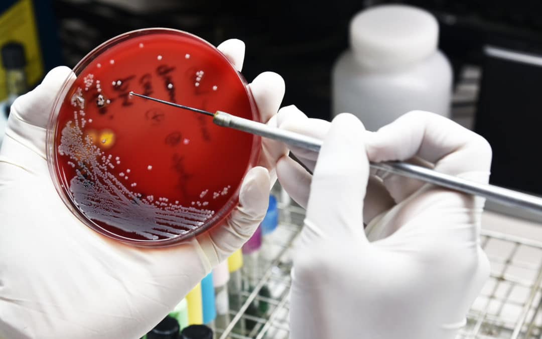 The European Commission is failing to preserve vital antibiotics for human health