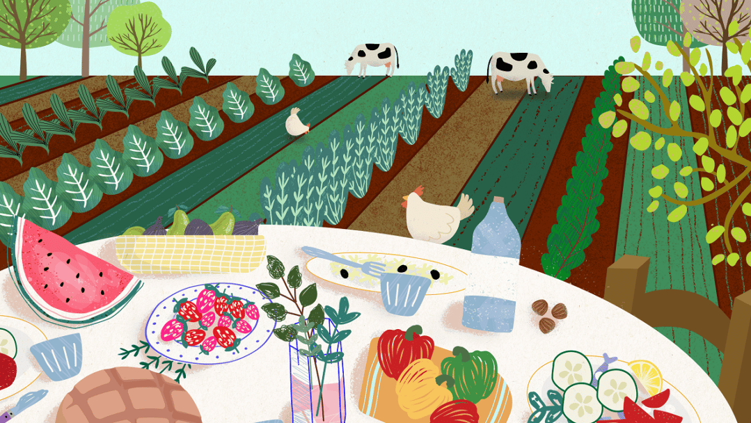 Why Europe needs a health-oriented food policy