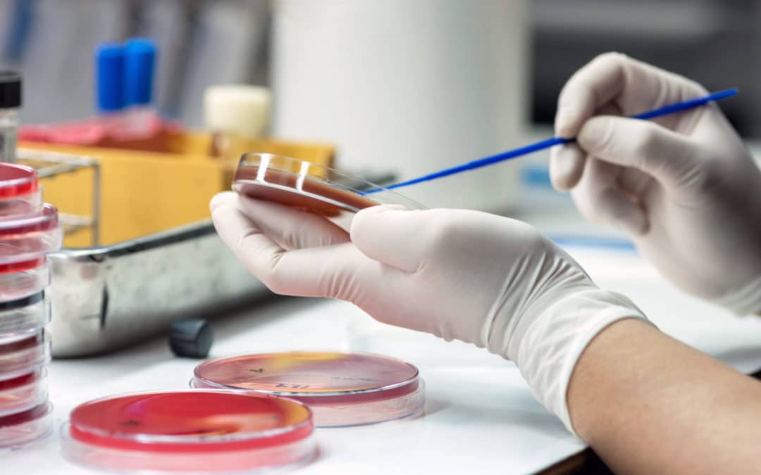 Antibiotic incentives in the revision of the EU pharmaceutical legislation