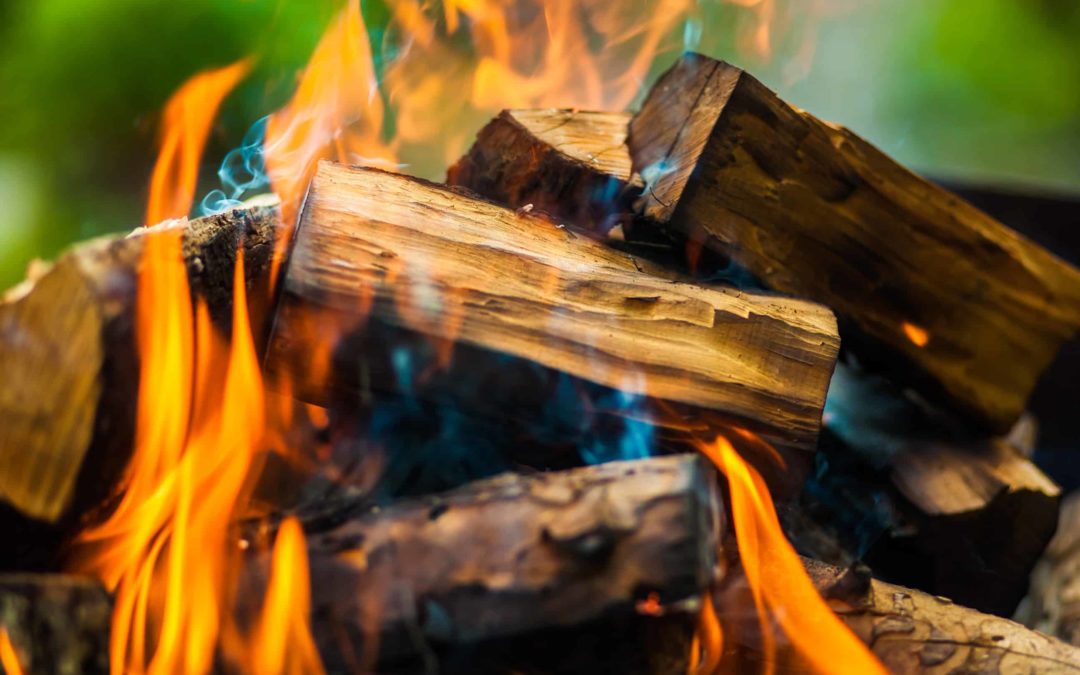 Joint letter — Wood burning harms our health and fuels climate change