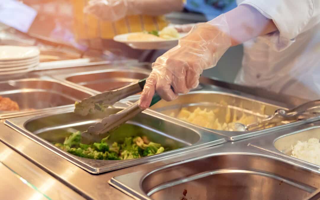 Establishing minimum standards for public canteens in Europe: seven actionable propositions