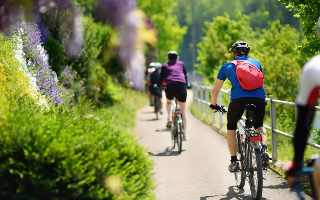 EPHA Newsletter | Europe’s opportunities for cleaner air and healthier environments