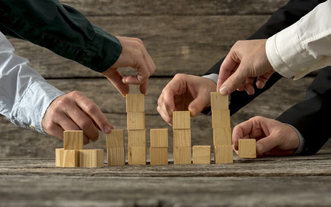 ROBUST – Crisis Governance in Turbulent Times