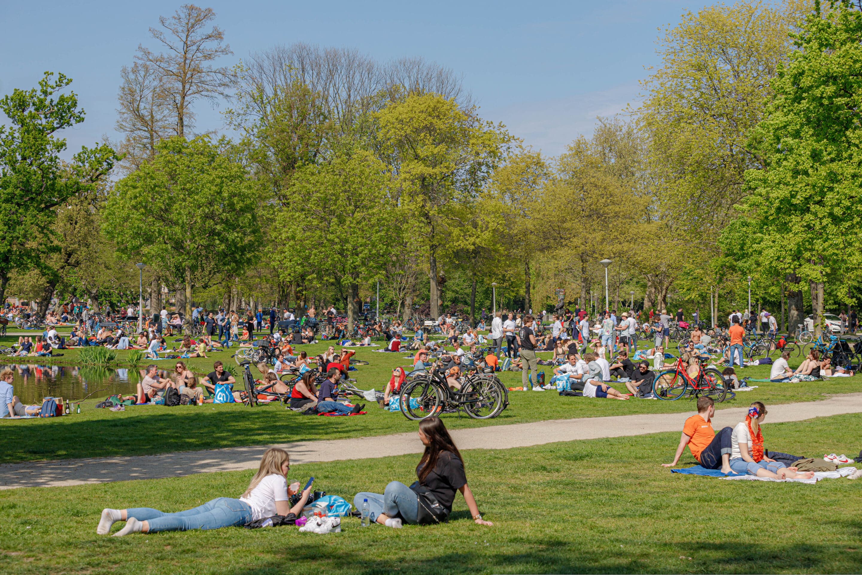 EPHA Newsletter | Advocating for Better Health: the role of EPHA’s Healthy Environments cluster