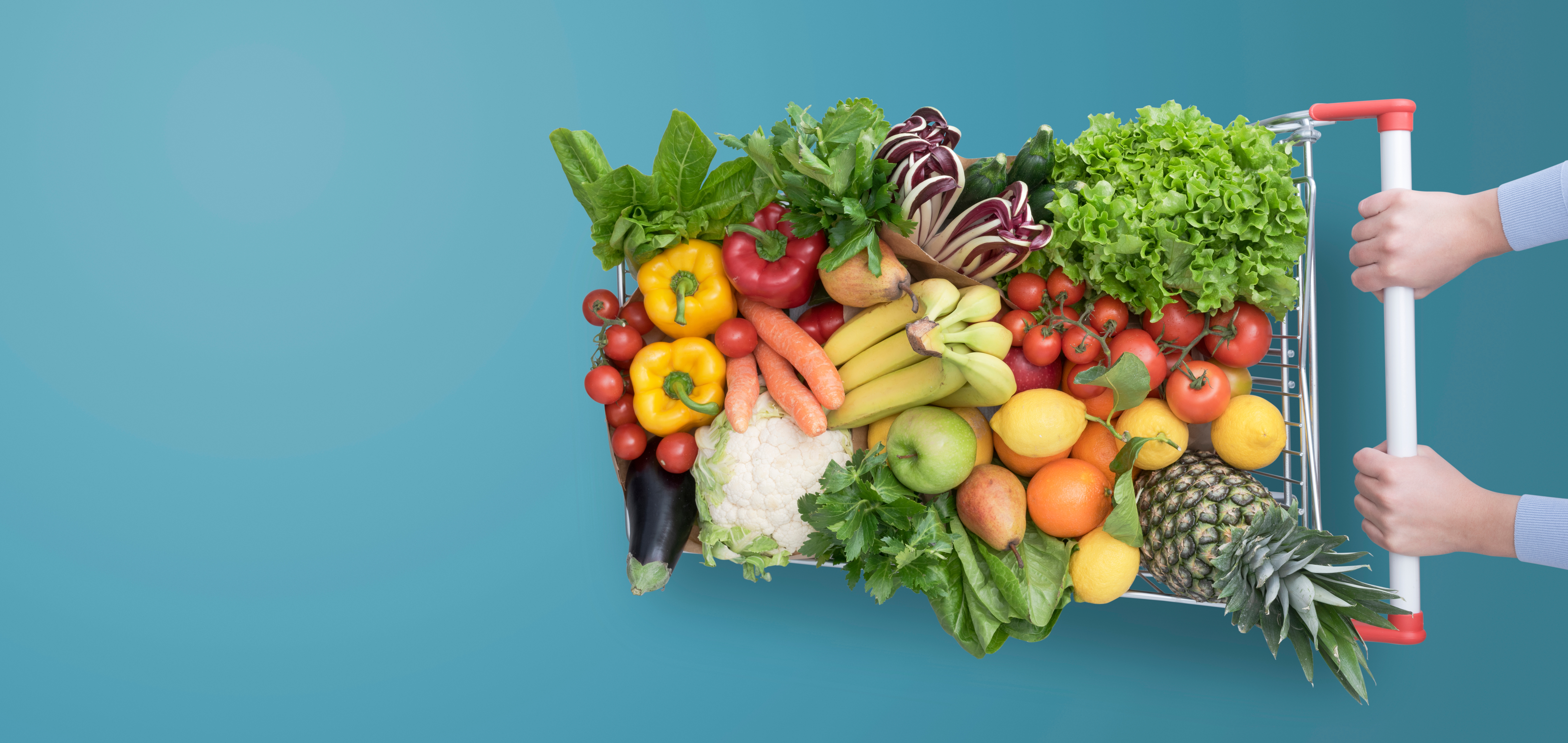 Ambitious public procurement laws can provide answers to the burden of unhealthy and unsustainable diets – Consultation Response