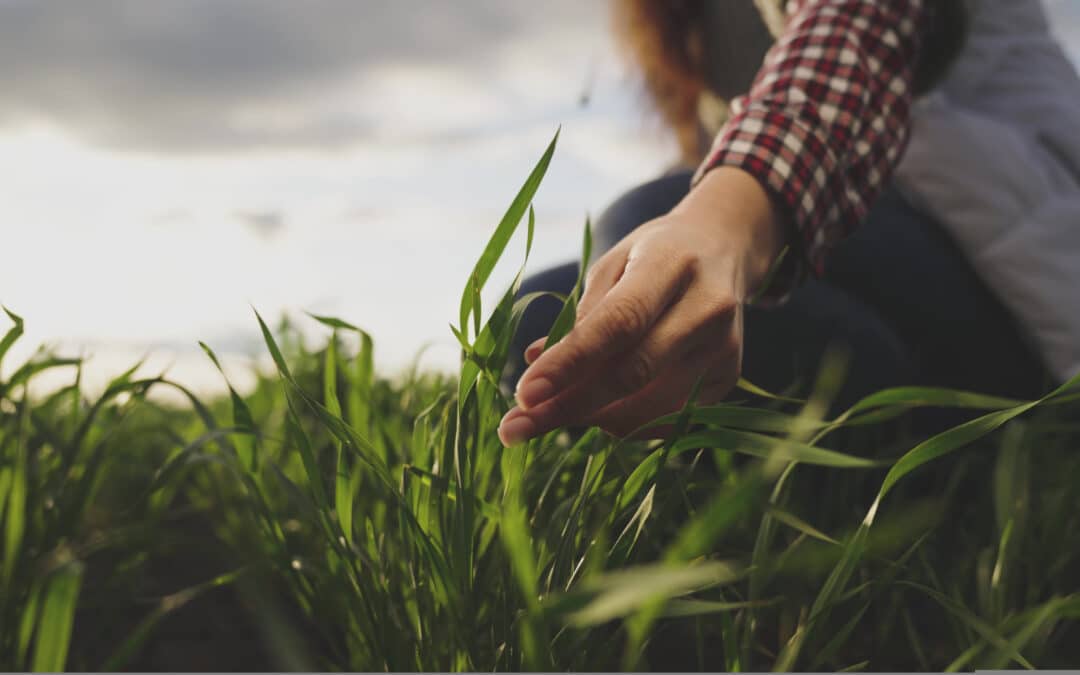 Advocating for Public Health in Agriculture: EPHA’s demand to the European Commission