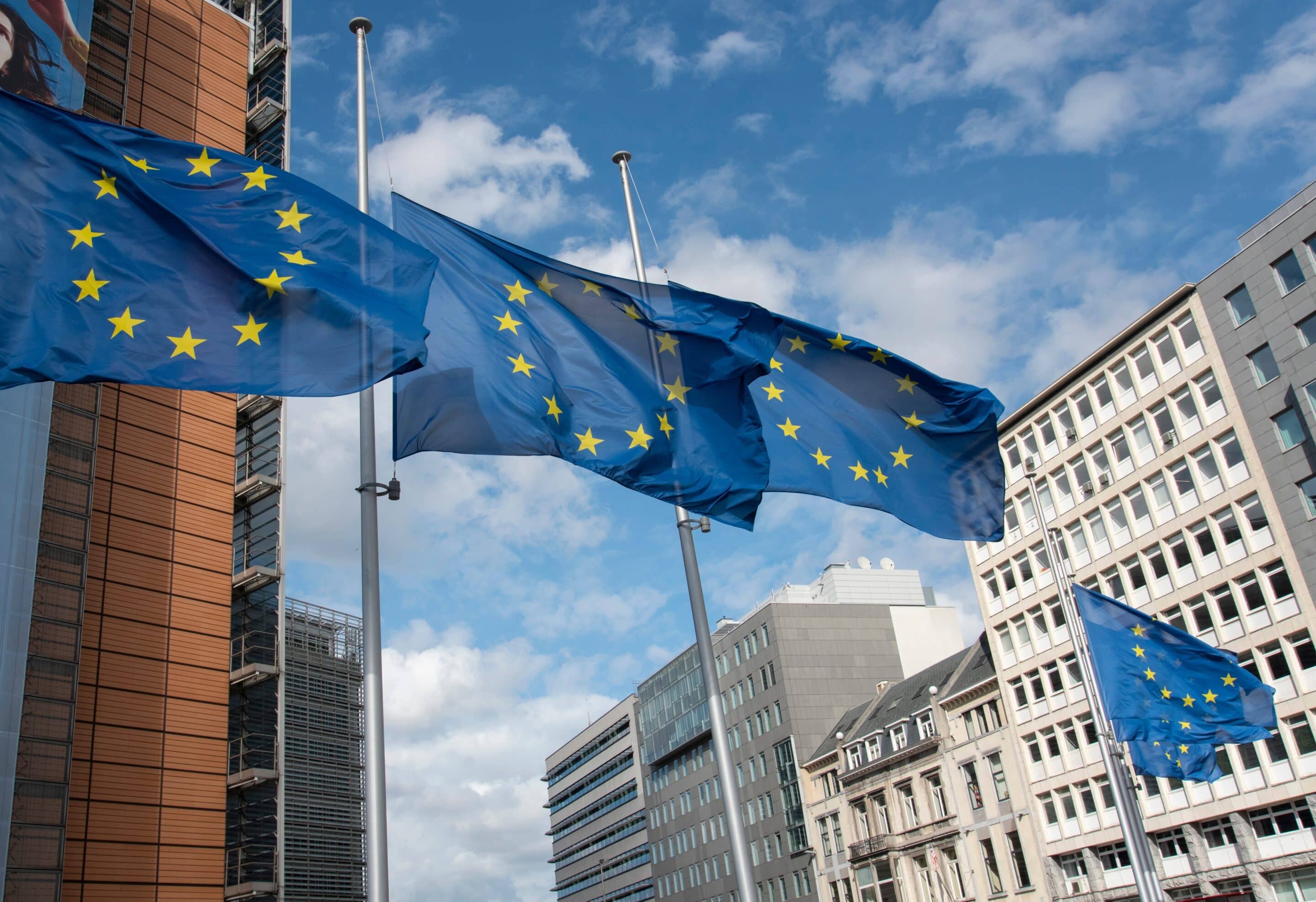 EPHA welcomes the 2024 workplan for EU4Health that includes the continuation of OPGs