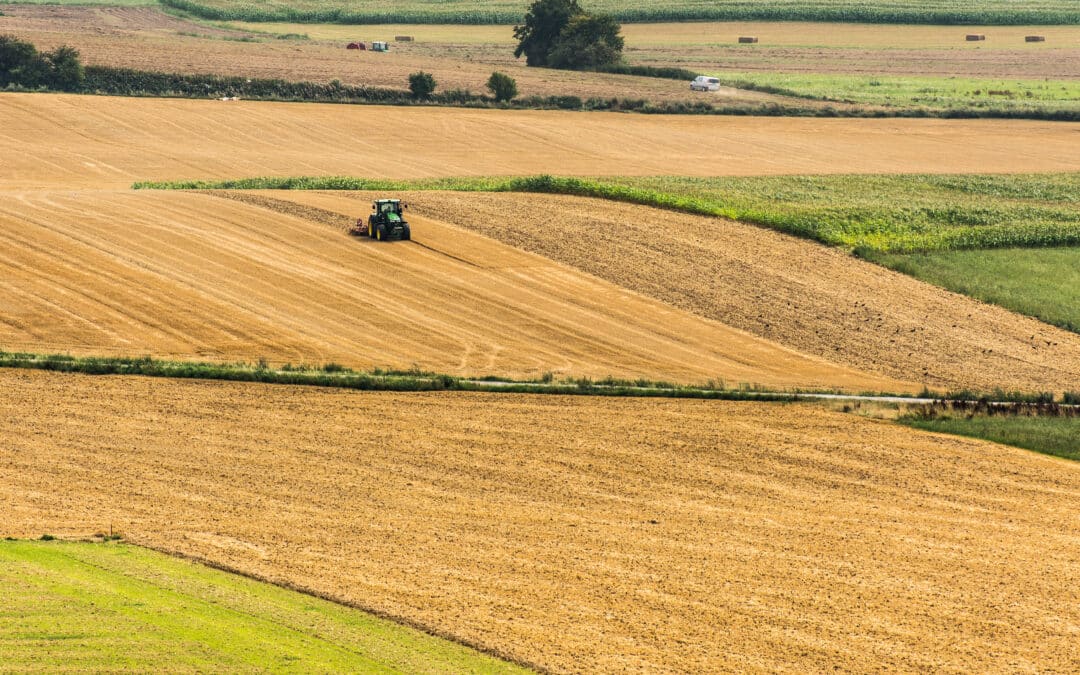 Urging the inclusion of civil society representatives in the key agrifood meetings under the Belgian Presidency