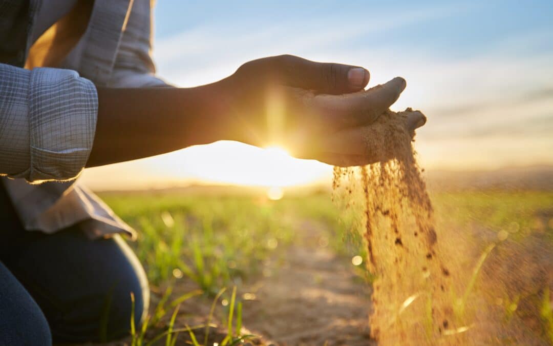 The Strategic Dialogue on the Future of Agriculture must consider public health interests