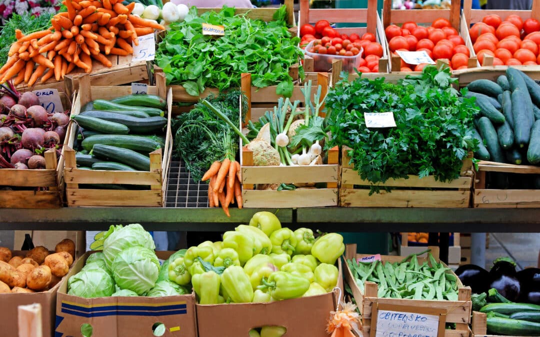 Joint letter to call for this Commission to leave a legacy of the EU’s Farm to Fork Strategy through sustainable public food procurement