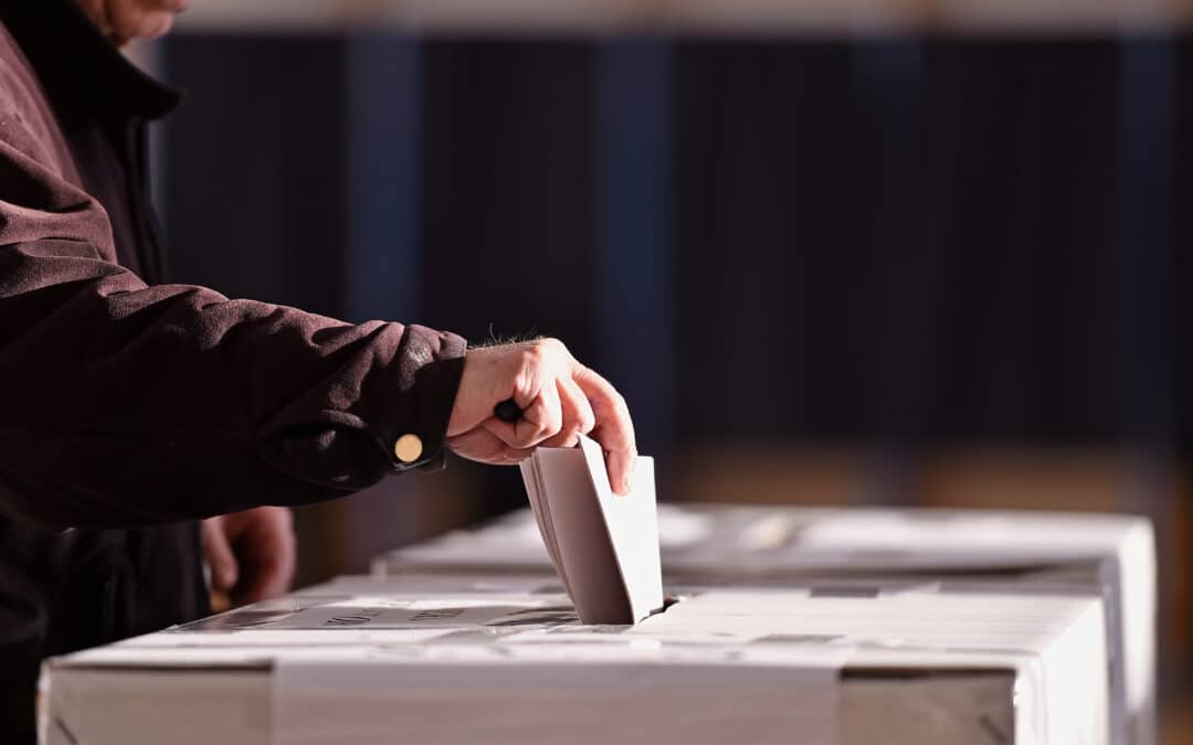 Everything you always wanted to know about genes, or why does it matter who wins elections